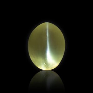 Cat's Eye (Lehsunia)