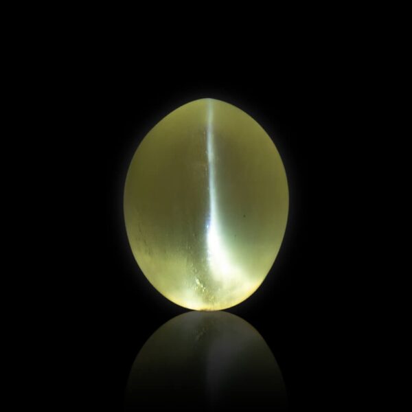 Cat's Eye (Lehsunia)