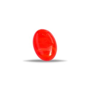 Natural Red Coral (Moonga)